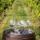 Бокал для вина «Линия умана» Rona 0,9 л, 1051197