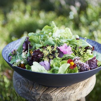 Салатник «Арборесценс» D=14 см черный REVOL, 3031708