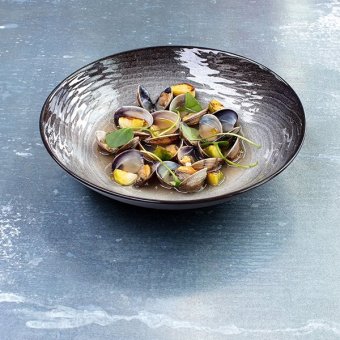 Салатник «Свелл» REVOL D=150 мм, 3032901