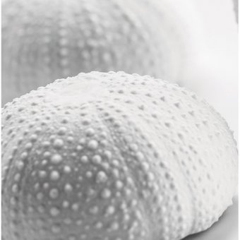 Салатник «Медитер» 5х5.5 см Pordamsa, 3032708