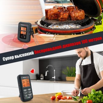 Цифровой кухонный термометр с двумя щупами ThermoPro TP-08C, серый