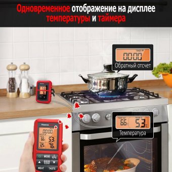 Цифровой термометр для духовки, барбеккю, гриля Thermopro, TP20