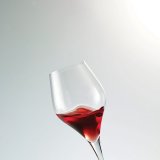 Бокал для вина «Финесс» 440мл Schott Zwiesel, 1051037