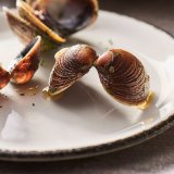 Тарелка мелкая «Чакоул дэппл» Steelite D=20, H=2 см, 3010799