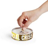 Копилка Financial Crisis, Doiy DHFCSK