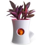 Горшок для цветов d=12.5 см самополивающийся Log&Squirrel, Qualy QL10075-WH-PK