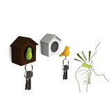 Держатель+брелок для ключей Sparrow, Qualy QL10091-BN-GN