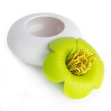 Шкатулка для мелочей Blossom, Qualy QL10159-WH-GN
