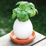 Набор для выращивания базилика Eggling, Seishin NO.EG-0103