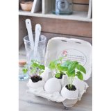 Набор для выращивания кайенского перца Eggling, Seishin NO.EG-37