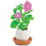 Набор для выращивания петунии Eggling, Seishin NO.EG-0305