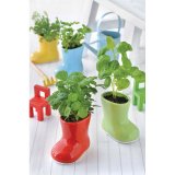 Набор для выращивания базилика Baby Boots, Seishin NO.GD-24304