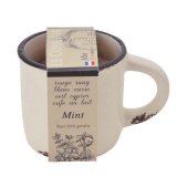 Набор для выращивания мяты Le Couleur, Seishin NO.GD-48901