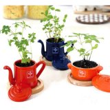 Набор для выращивания мяты и мелиссы Petit-coco Чайничек, Seishin NO.GD-14703