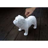 Копилка Bull Dog, Suck UK SK MONEYDOG1